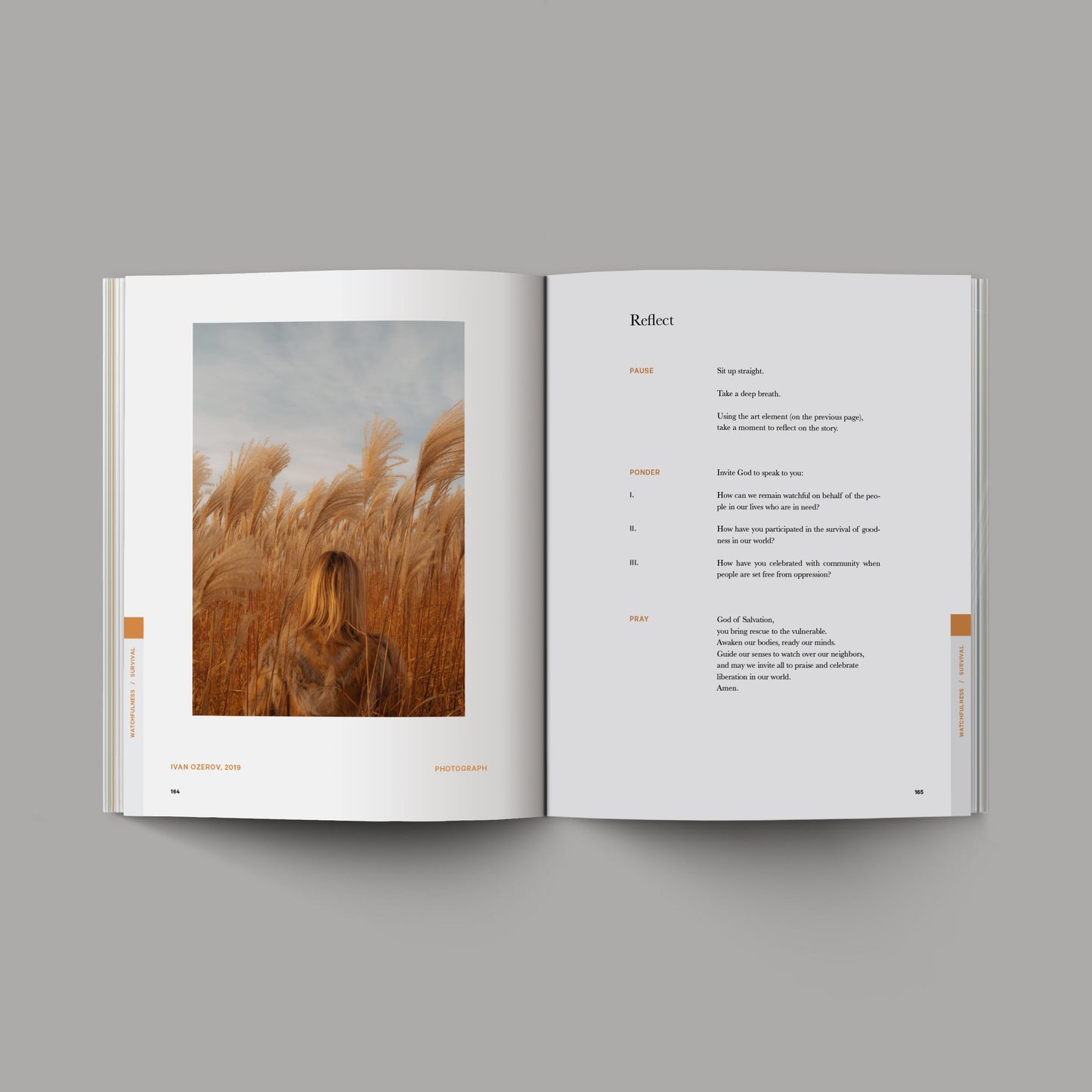 Good and Beautiful Bible Study - Vol 1 VIP