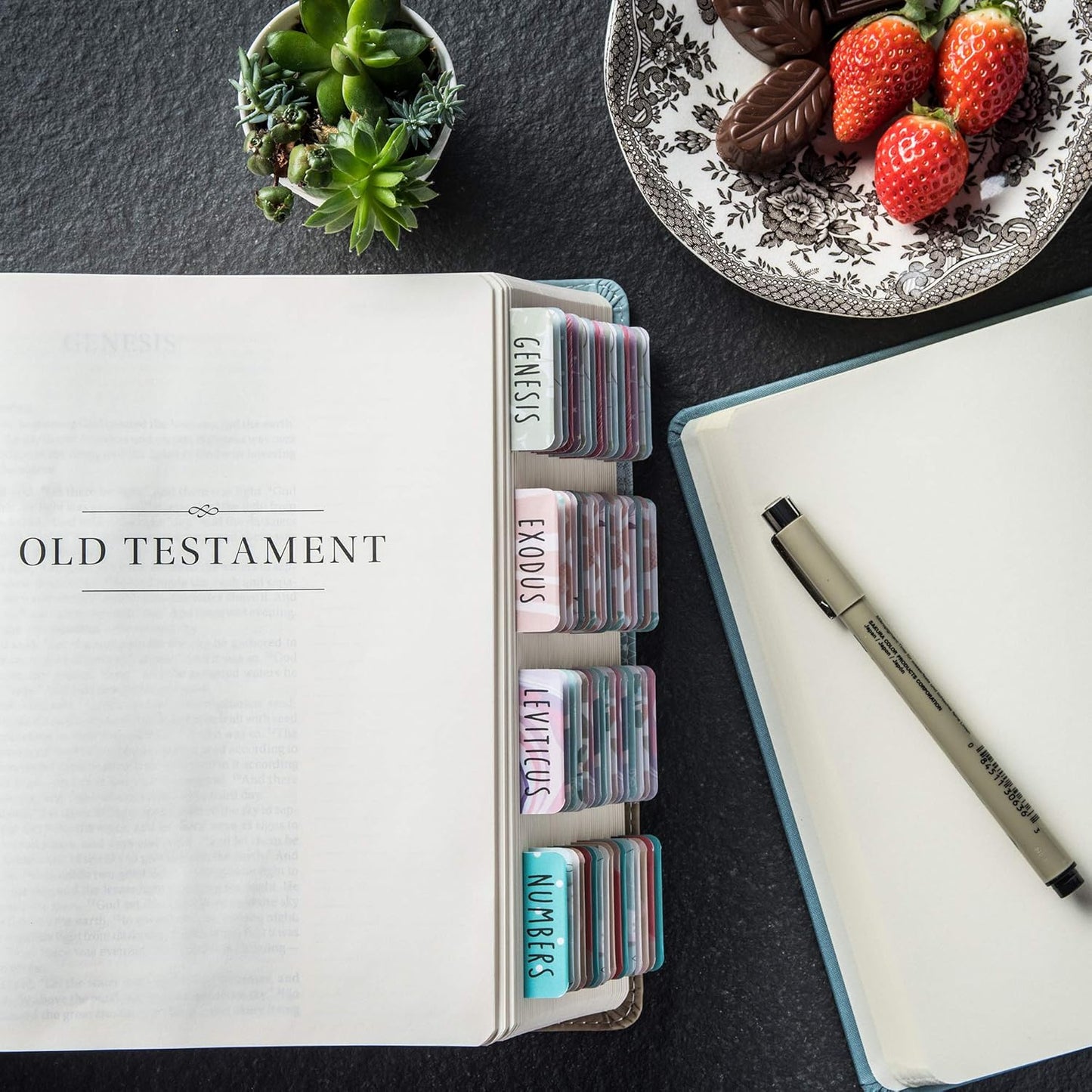 Beautiful Bible Tabs (12.99 Value) VIP