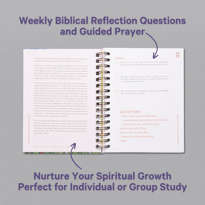 A Beautiful Year in the Bible Study  VIP