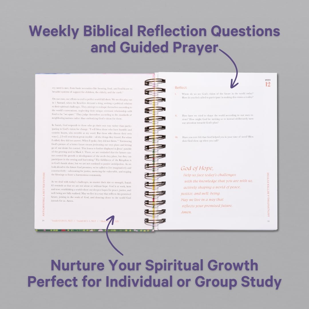 A Beautiful Year in the Bible Study VIP