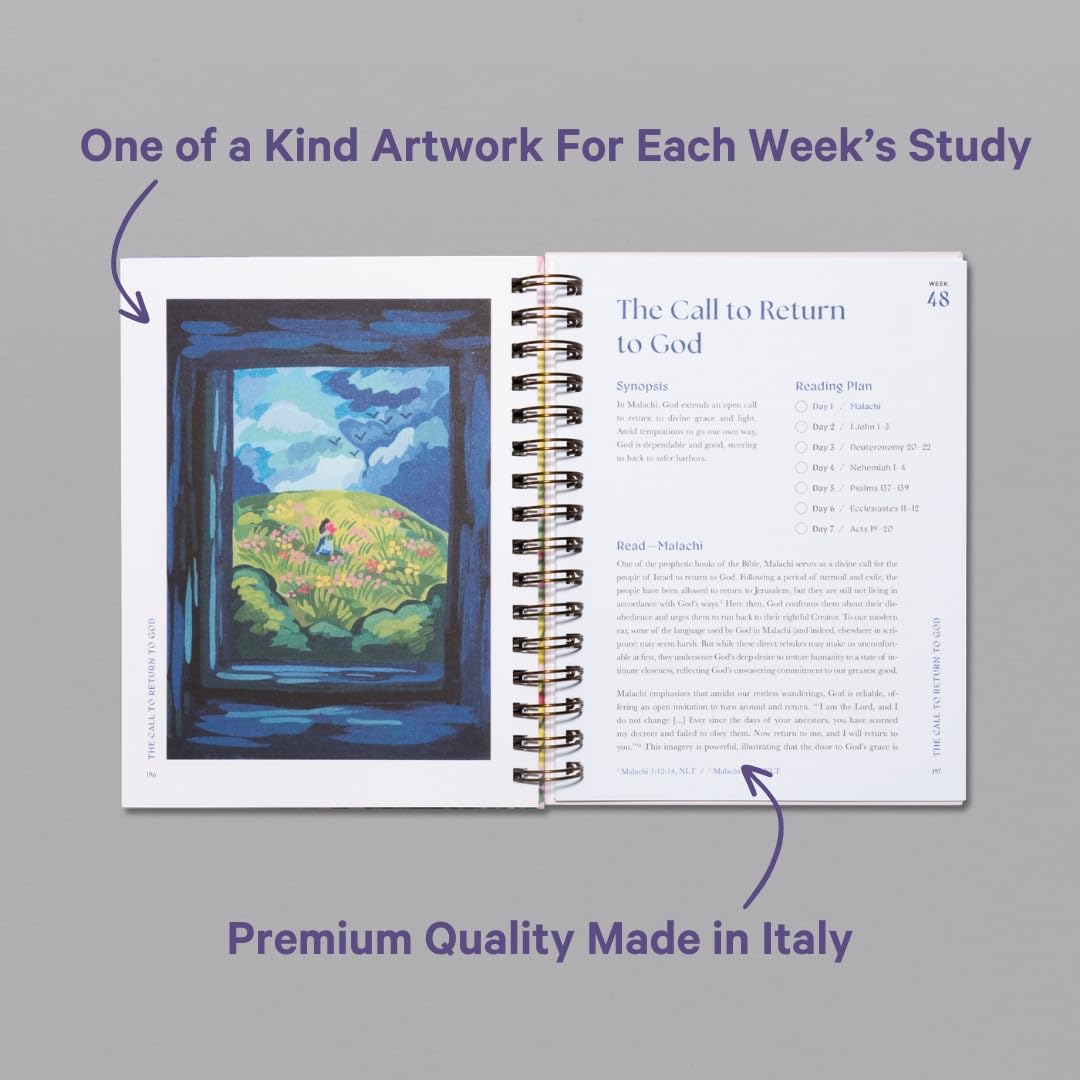 A Beautiful Year in the Bible Study VIP