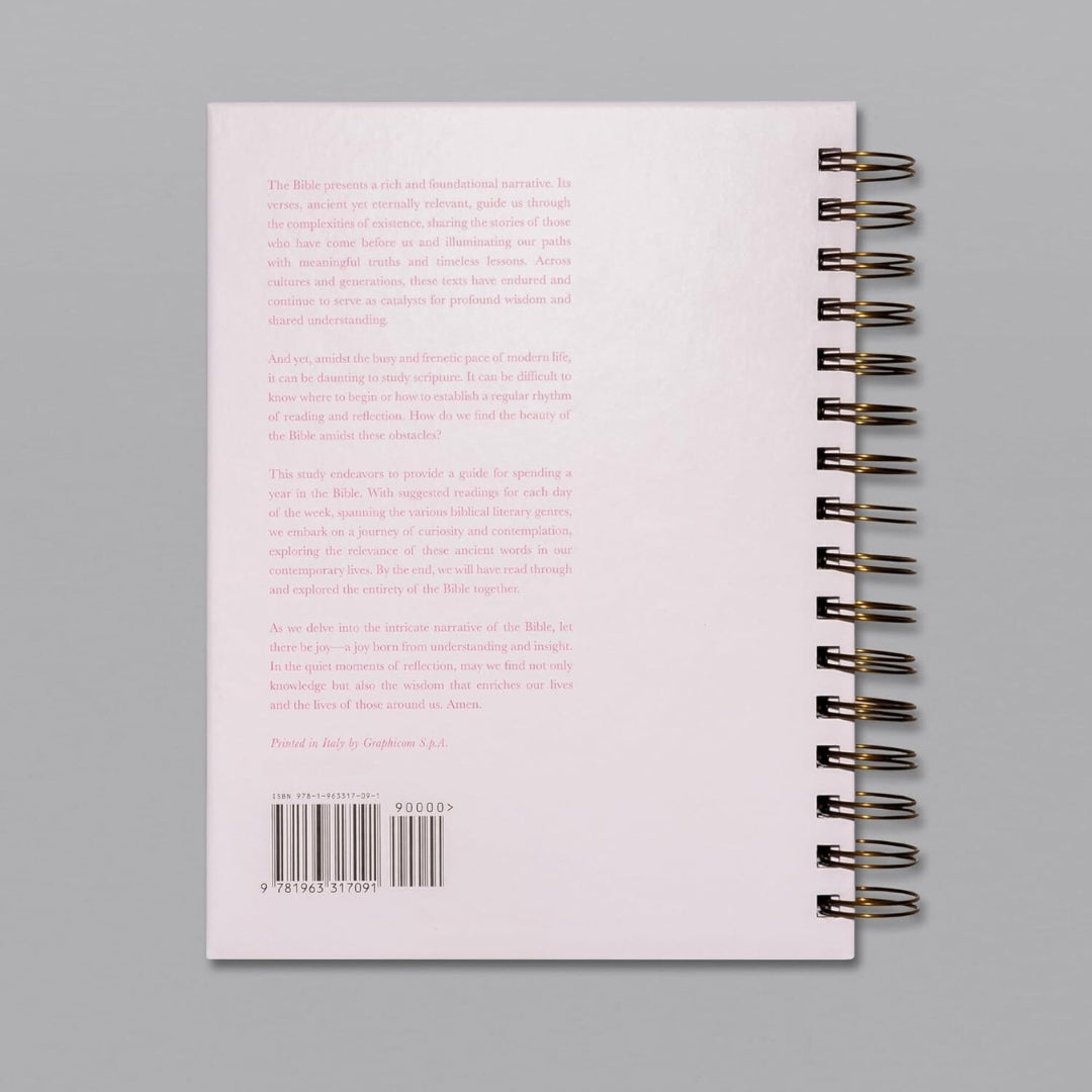 A Beautiful Year in the Bible Study VIP